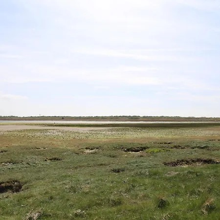 Glamping Bell Tent Binnen Duin 't Horntje