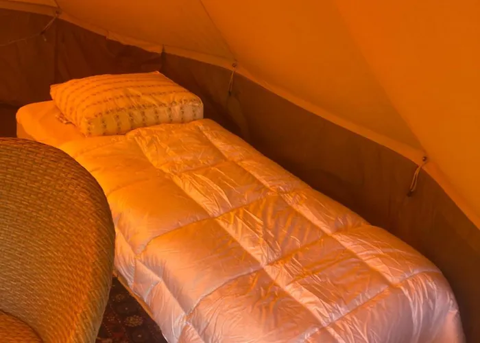 Lyxtält Bell Tent Binnen Duin *