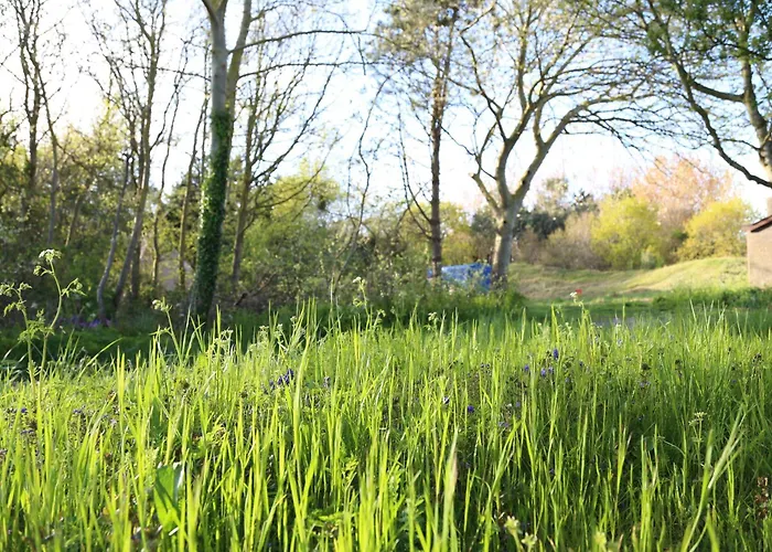 Bell Tent Binnen Duin 't Horntje