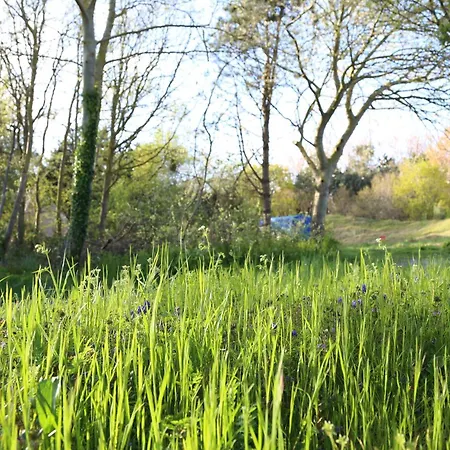 Bell Tent Binnen Duin 't Horntje